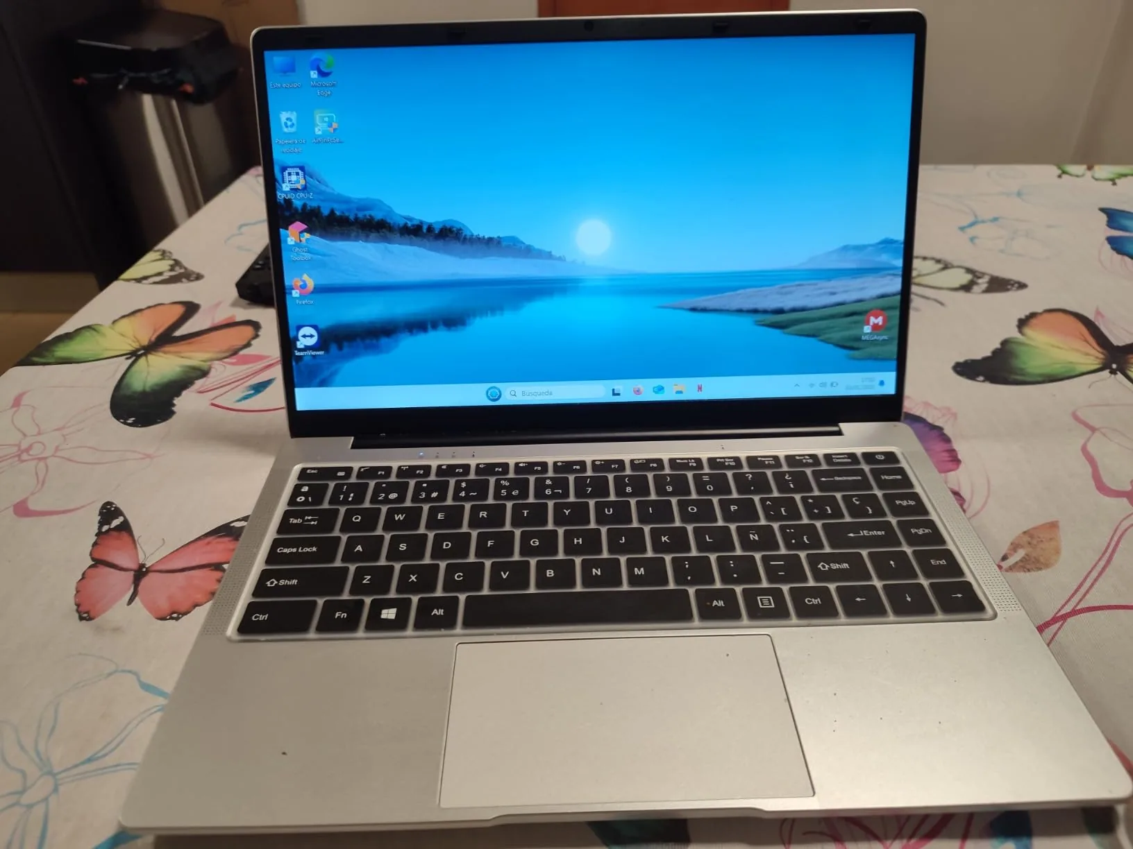 PINSTONE N4000 – Reseña y Opiniones 2025